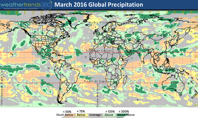 BLOG 10 GLOBAL PRECIP MAP