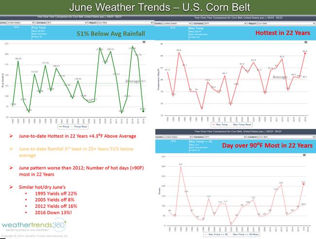 blog 8 corn belt June