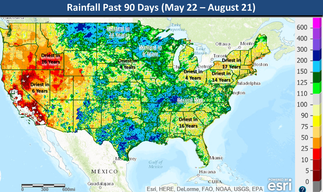 90 day rainfall