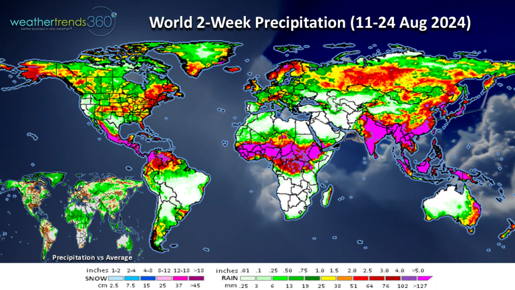 2WeekWorldPrecip_081324